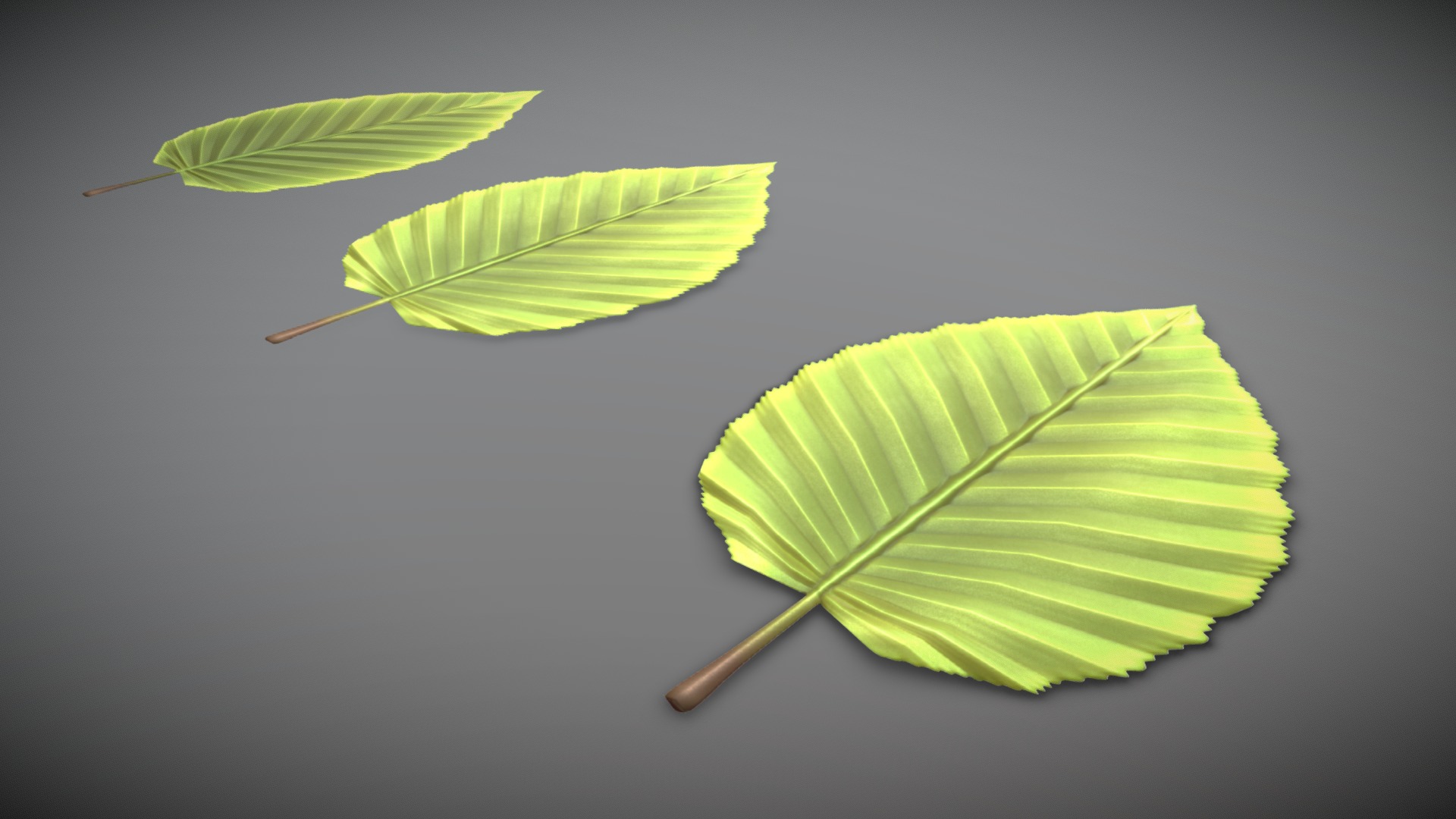 A low-poly hornbeam leaf.



High-Poly Version



Hornbeam Branch (High-Poly)



Hornbeam Branchs (Low-Poly)



Hornbeam Hedge (Wip-1)


 - Hornbeam Leaf (Low-Poly) - Buy Royalty Free 3D model by VIS-All-3D (@VIS-All) 3d model