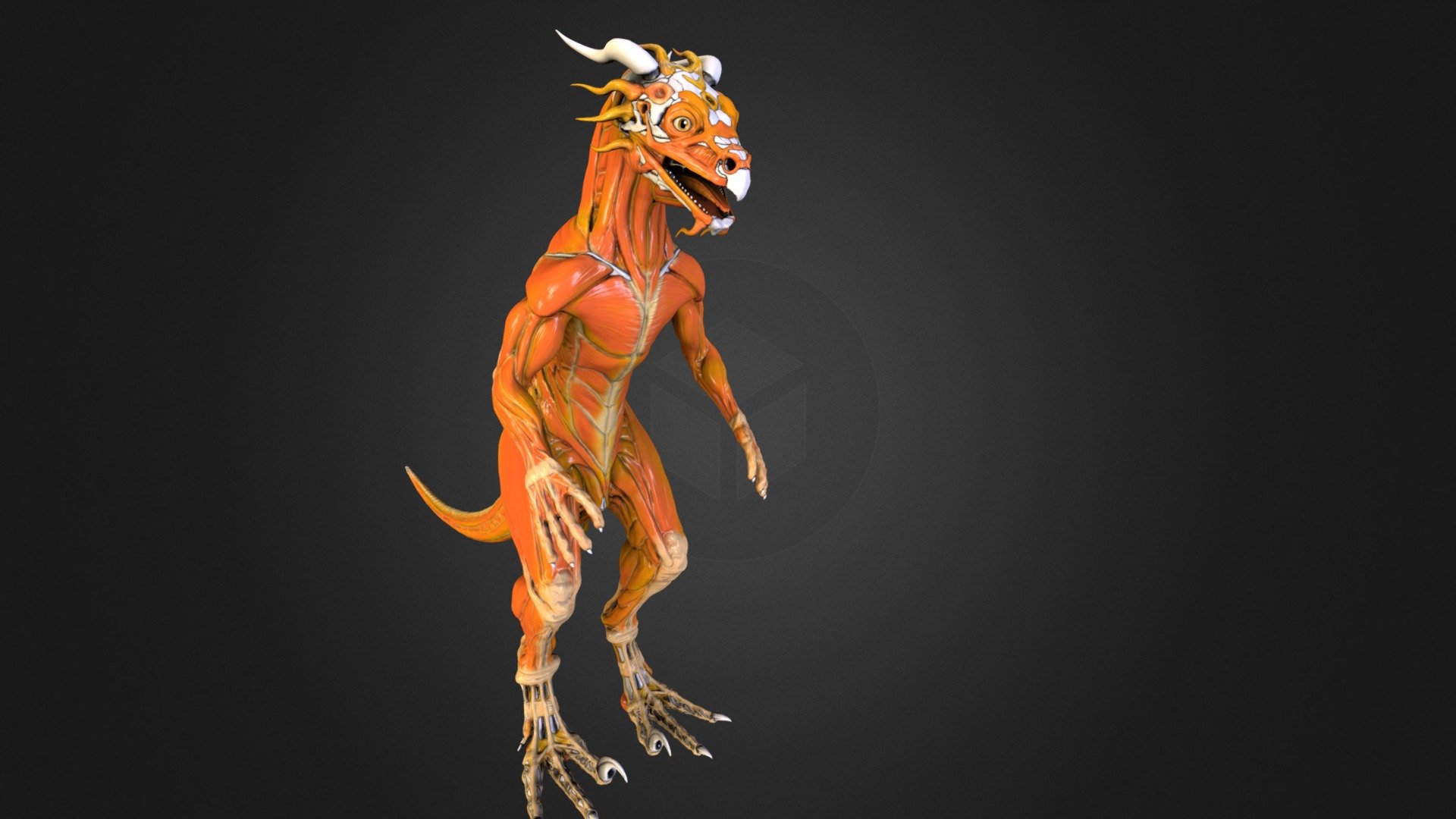 Anatomical reference of creatures/species I'm working on for my world 3d model