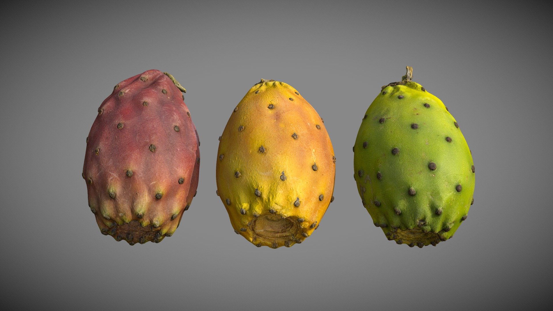 Scan of three Cactus Fruits / Prickly Pears / Barbary Figs / Indian Fig Opuntia
(high-poly models included)

Red: https://skfb.ly/oNn8A

Yellow: https://skfb.ly/oNn8B

Green: https://skfb.ly/oNn8D - Three Prickly Pears - Buy Royalty Free 3D model by Eydeet 3d model