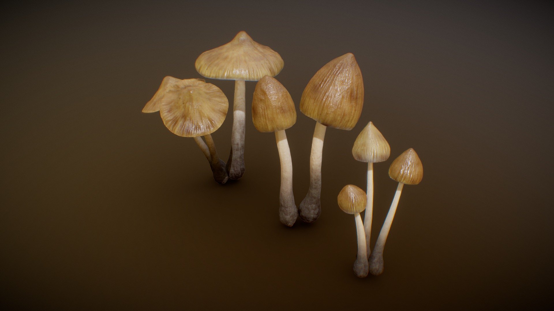 Mushrooms low poly




Ready to render in Blender3D Cycles or Eevee

FBX and OBJ formats also available.

glTF GLB format available (with packed textures sub0 with 1024x1024 sub1 and sub3 with 2048x2048)

UV unwrapped

Sculpted highpoly

Real World Scale

Units: metric

Dimensions: ~ 3 cm x 3 cm x 9 cm (small)

~ 5 cm x 5 cm x 17 cm (medium)

~ 10 cm x 10 cm x 18 cm (big)

Materials and textures included.

Configurable Materials in Blender file

PBR Textures (diffuse, glossiness, roughness, specular, normal, height)

Textures resolution: 1024x1024, 2048x2048, 4096x4096

Polygonal count per mushroom:

(the stem and the cap are not connected together)

basemesh (blender file) 356 faces

sub0 112 faces

sub1 1424 faces

sub3 22784 faces
 - Mushrooms - 3D model by nacl 3d model