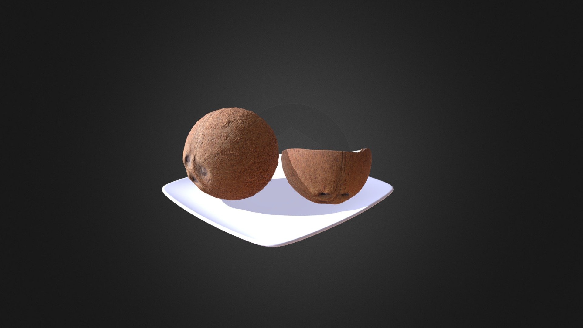 Coconuts - Coconuts - Buy Royalty Free 3D model by cgaxis 3d model