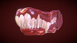Dragon Teeth-Mouth mouth, anatomy, dog, crocodile, teeth, dental, realtime, pack, mutant, ingame, tooth, character, art, pbr, low, poly, animal, dragon, dinosaur, gameready, besemesh