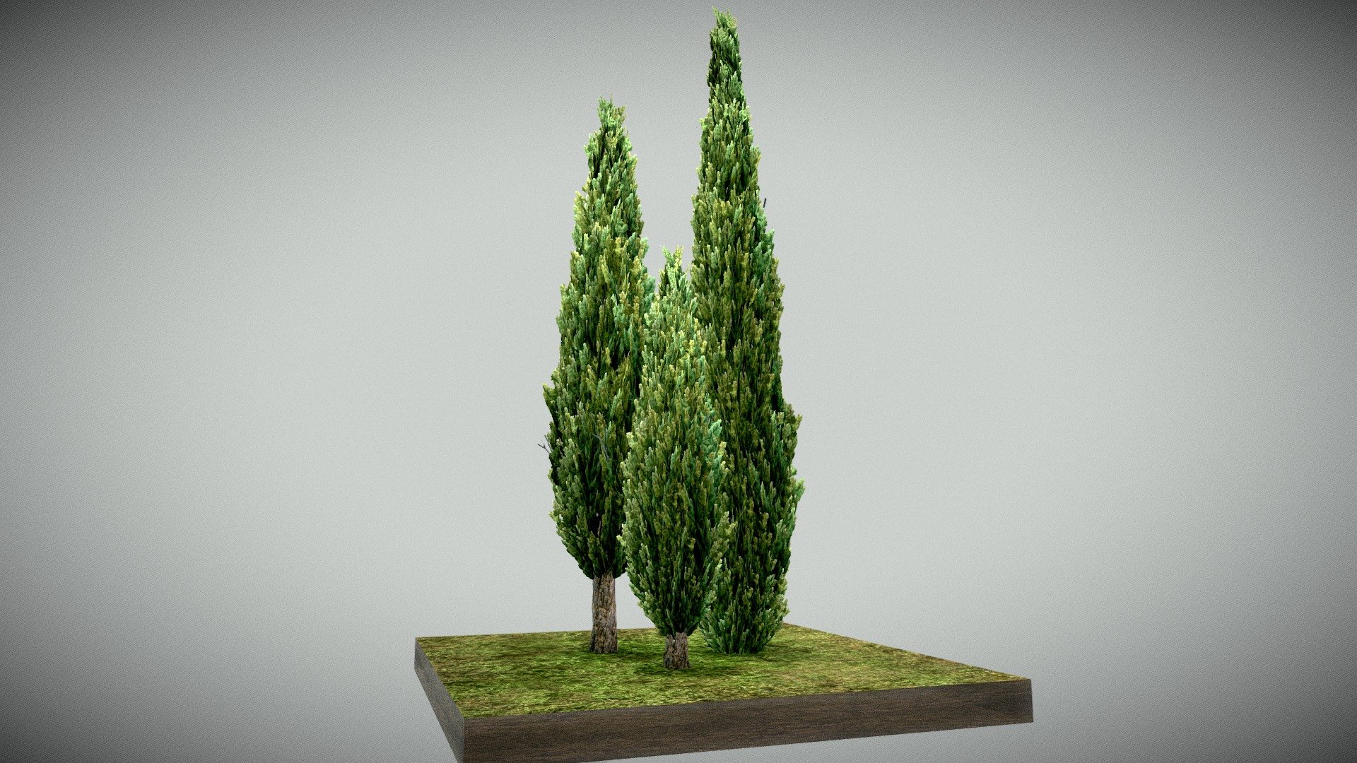 Mediterranean Cypress - Cupressus sempervirens

Low-poly trees for games. 

The Mediterranean cypress, also known as Italian cypress, Tuscan cypress, Persian cypress, or pencil pine, is a species of cypress native to the eastern Mediterranean region 3d model