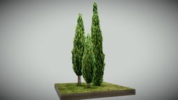 Mediterranean Cypress tree, landscape, pine, italian, nature, mediteranean, cypress, asset, game