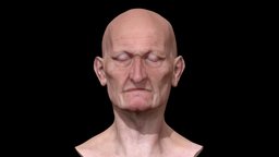 Old Man Face sculpt v2 realistic, old, bust, man, male