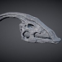Parasaurolophus Skull sculpt, anatomy, bone, jaw, education, extinct, parasaurolophus, patreon, 3d, skull, zbrush, animal, dinosaur, dino, bones