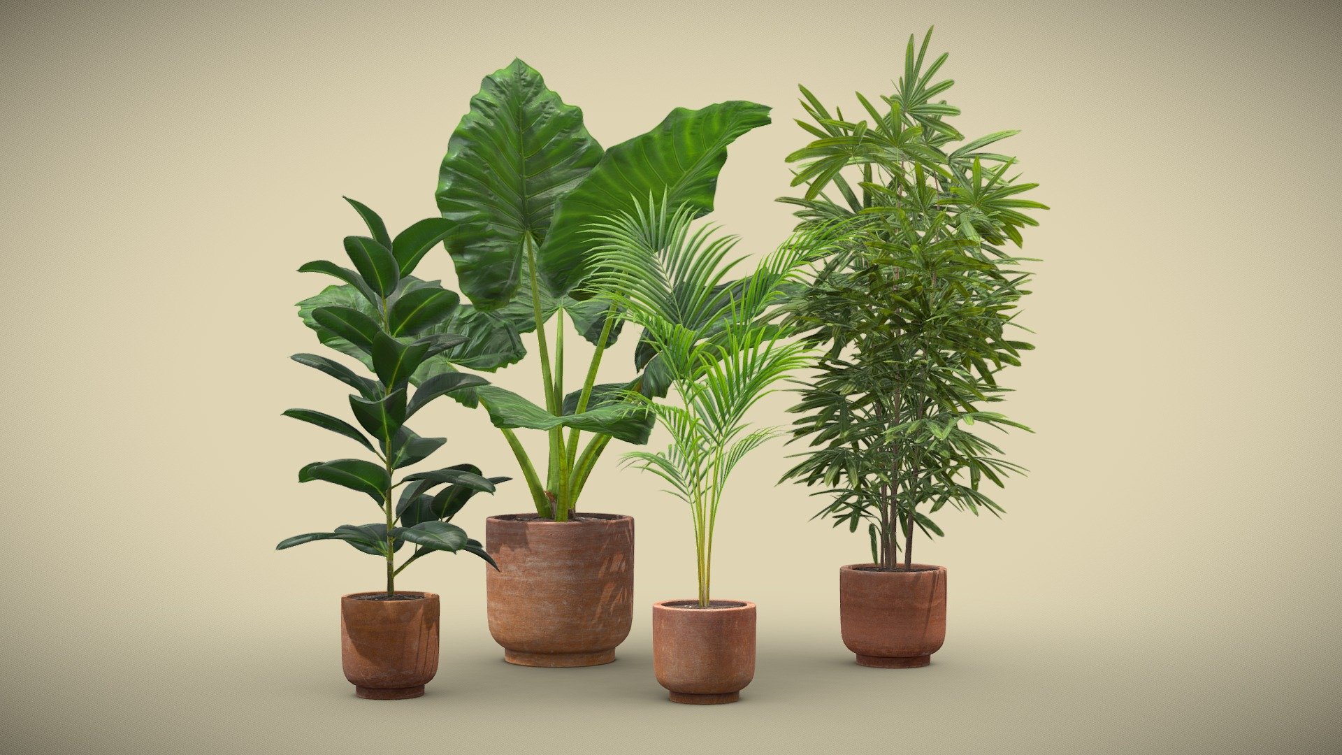 Indoor Plants Pack 26

This selection of indoor exotic plants will provide a nice touch to your interior renders.


Alocasia Macrorrhiza
Ficus Elastica
Areca Palm
Rhapis Excelsa

4k Textures


Vertices  58 970
Polygons  46 941
Triangles 91 466
 - Indoor Plants Pack 26 - Buy Royalty Free 3D model by AllQuad 3d model