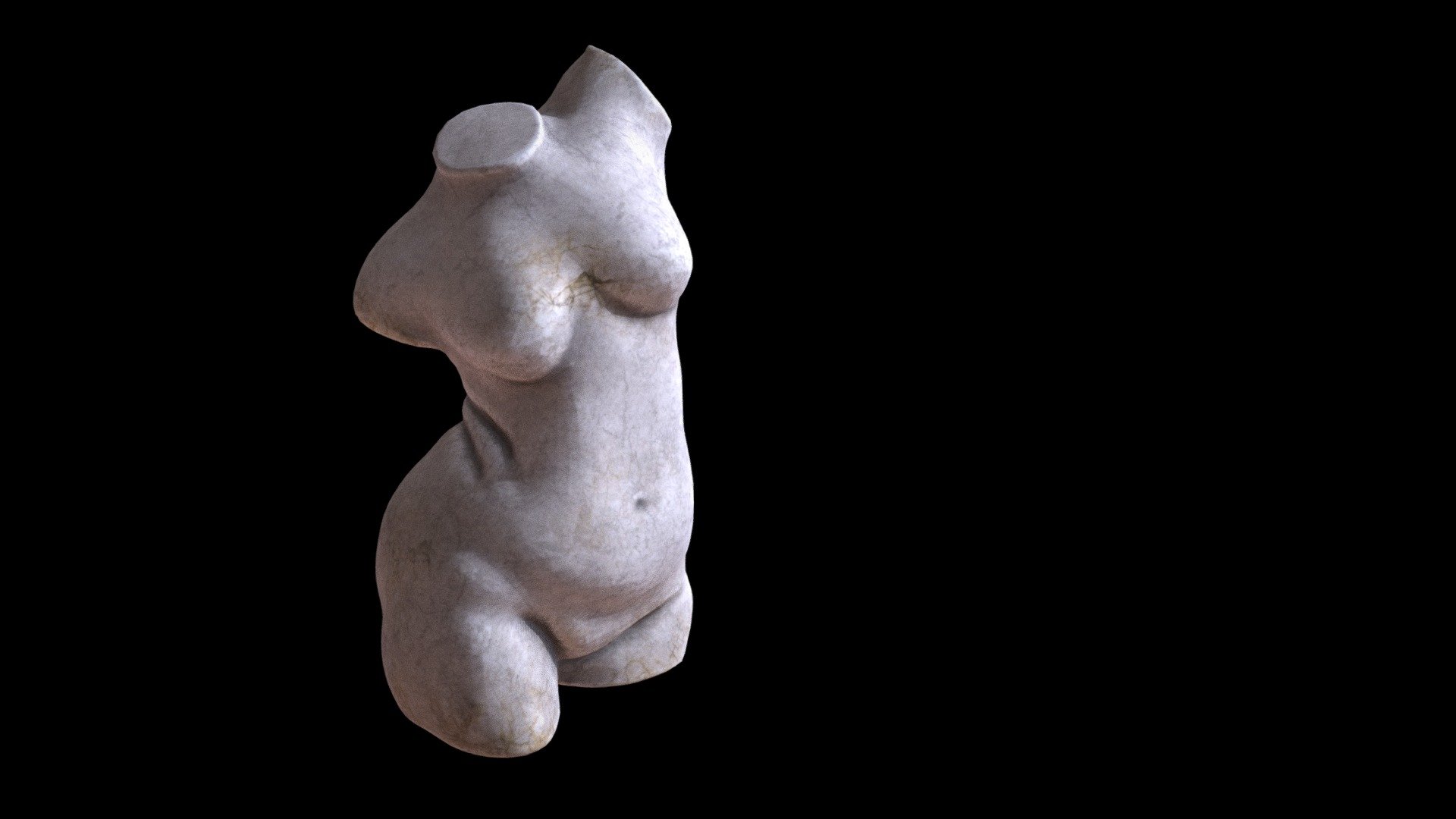Anatomy Studio - Torso - 3D model by Bear.Carge 3d model