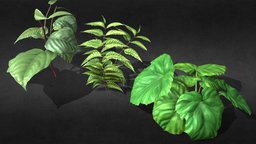 Wild plants plant, wild, hipoly, anim, subdiv, skinned, game, lowpoly, rigged, gameready, bones