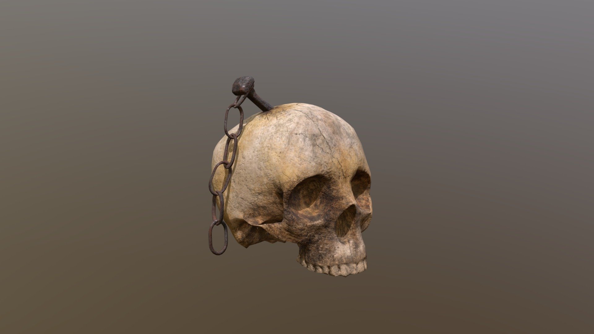 Old Impaled Skull 3D Model. This model contains the Old Impaled Skull itself

All modeled in Maya, textured with Substance Painter.

The model was built to scale and is UV unwrapped properly. Contains only one 4K texture set.

⦁ 7822 tris.

⦁ Contains: .FBX .OBJ and .DAE

⦁ Model has clean topology. No Ngons.

⦁ Built to scale

⦁ Unwrapped UV Map

⦁ 4K Texture set

⦁ High quality details

⦁ Based on real life references

⦁ Renders done in Marmoset Toolbag

Polycount:

Verts 3921

Edges 7856

Faces 3933

Tris 7822

If you have any questions please feel free to ask me 3d model