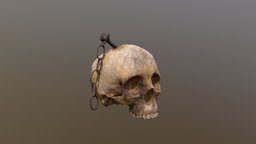 Old Impaled Skull blood, anatomy, bone, medieval, dirt, old, stab, impaled, skull, human, stabbed
