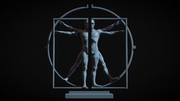 The Vitruvian Man stl, renaissance, 3dprinting, statue, artefact, leonardo-da-vinci, fineart, digitalsculpting, arthistory, hystory, vitruvianman, sculpture