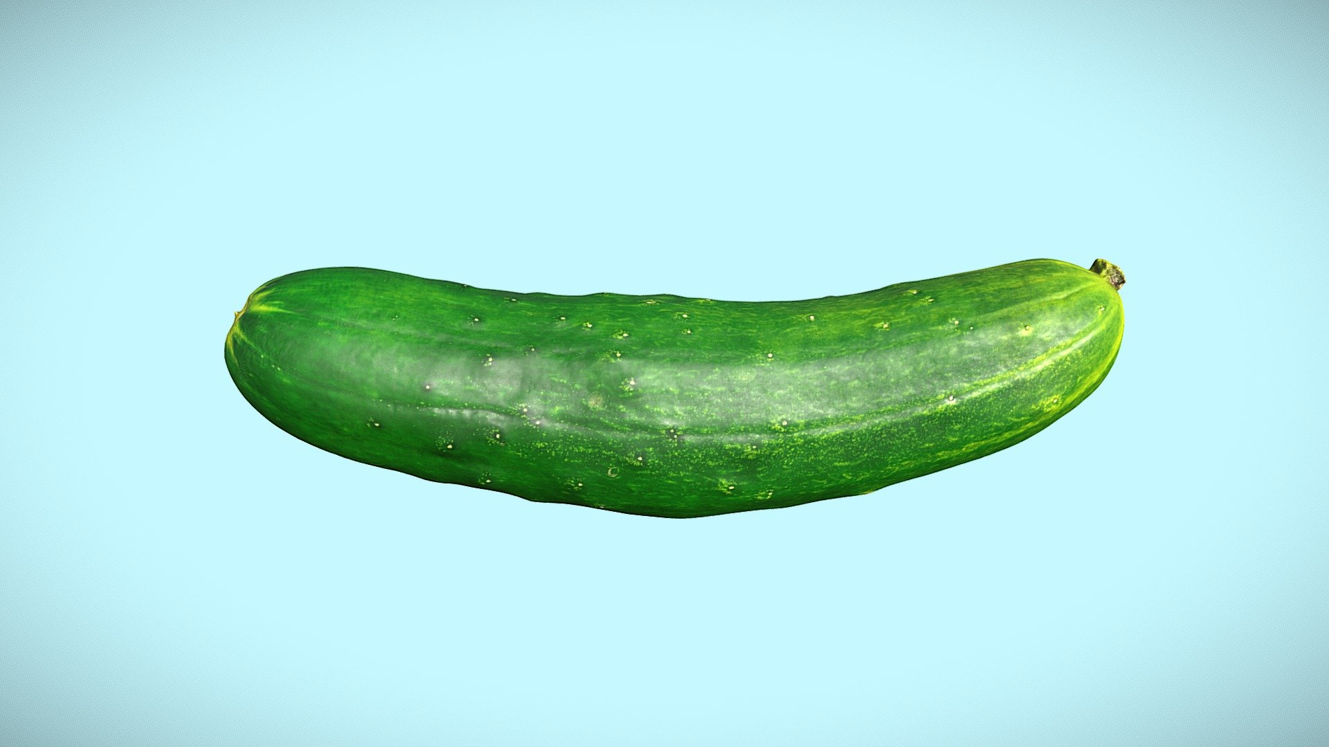 This is a cucumber, a Dasher II, specifically. It is pretty typical of cucumbers. It is suitable for salads and pickling, or eating plain 3d model