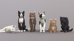 Simple Cats cat, kitty, pet, kitten