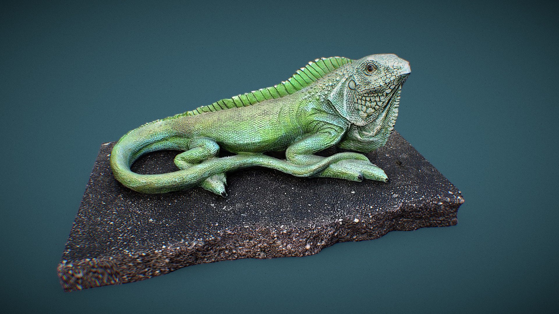 Lizard - Download Free 3D model by renelambert 3d model