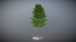 Platane 12m Summer trees, tree, green, plant, baum, blatt, game-ready, blender-3d, small-tree, vis-all-3d, sommer, platane, 12-meter, leaf-tree, 3dhaupt, software-service-john-gmbh, low-poly, lowpoly, blender3d