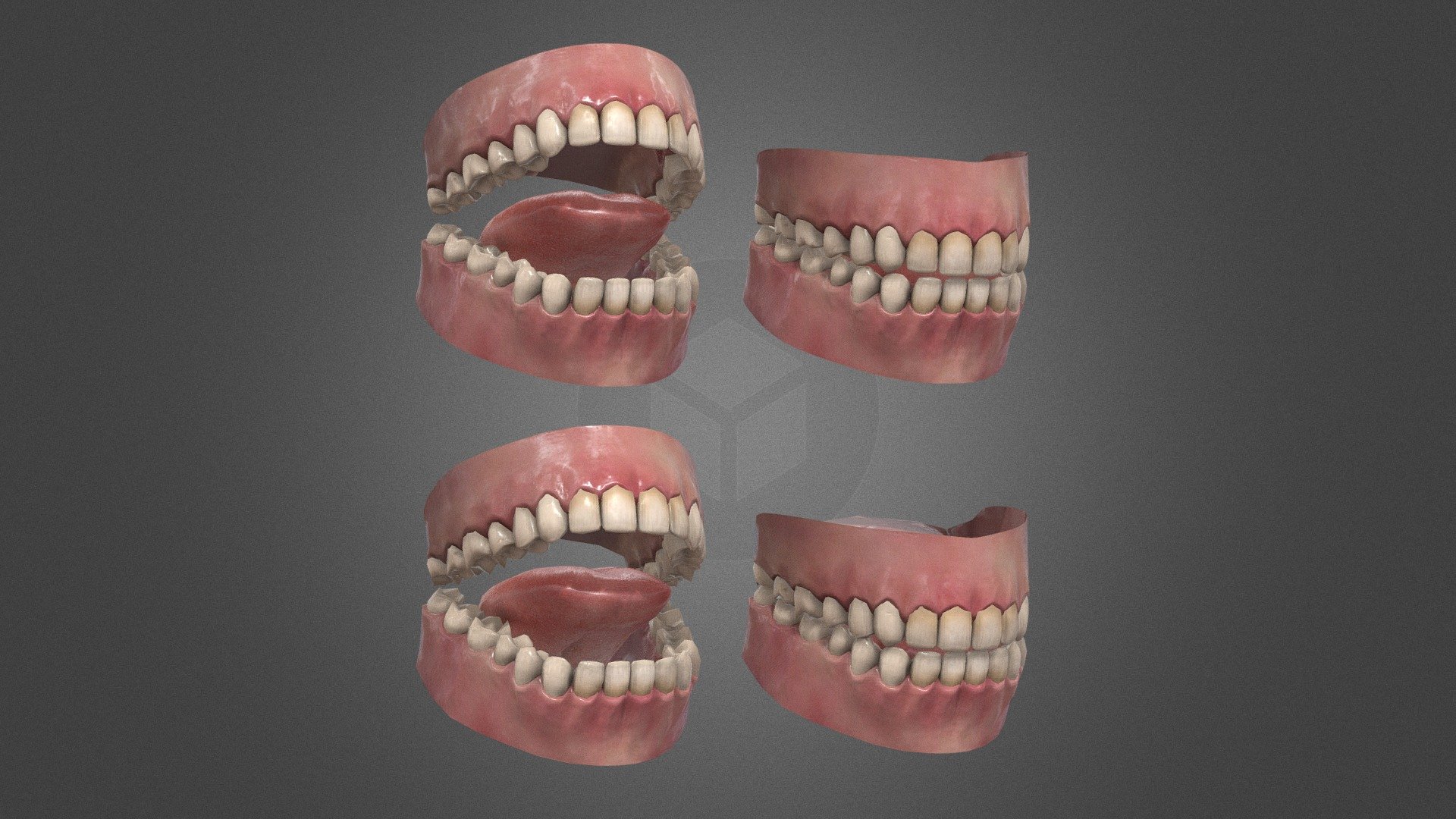 Teeth and tongue model include HP and LP model with with separate texture maps - Teeth and tongue - Buy Royalty Free 3D model by Di_ma_st 3d model