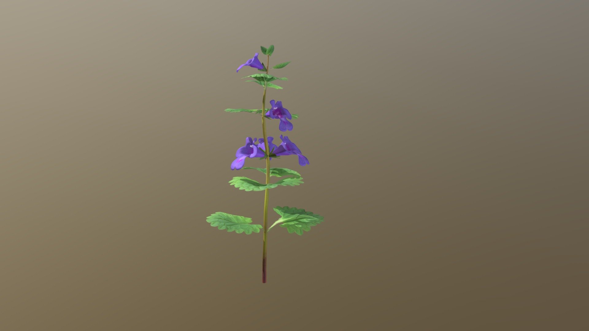 Ground Ivy - 3D model by PolarNis 3d model