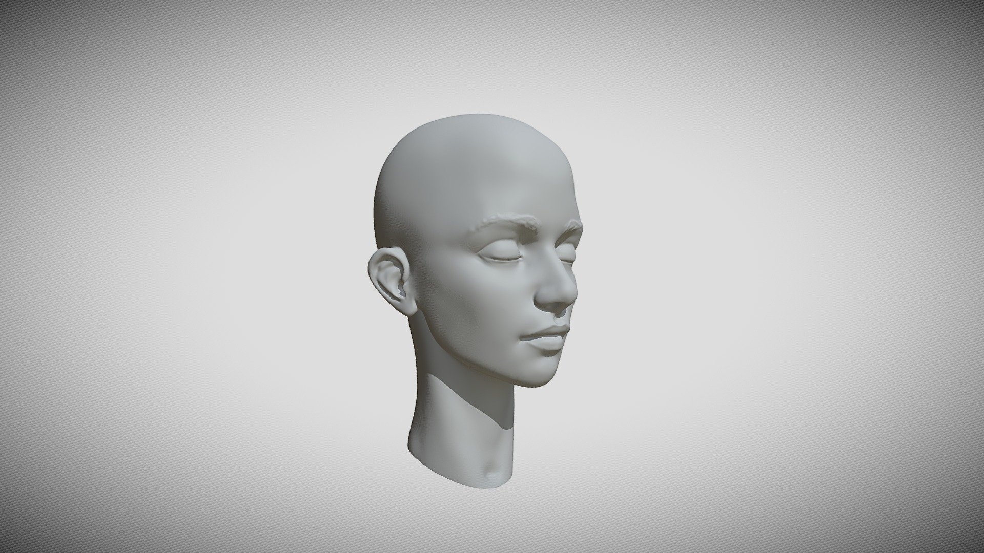 female Head study in zbrush - Stylized Female Head Speed Sculpt - Download Free 3D model by rushivamshi 3d model