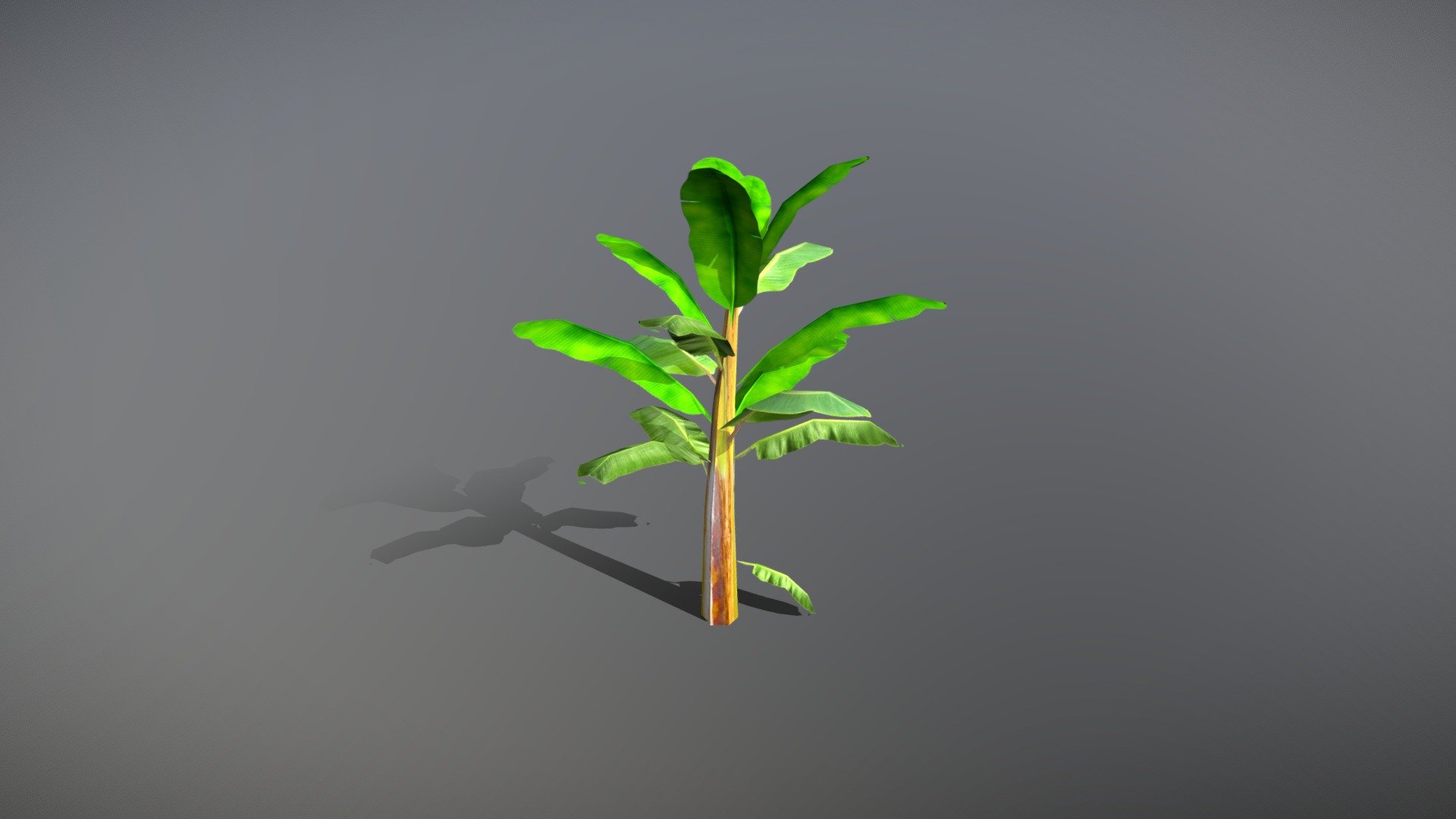Banana Tree optimized for mobile game. Size of the complete model with texture is 150KB 3d model
