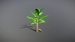 Banana Tree optimized for mobile game tree, plant, banana, optimized, unrealengine, unity3d, low, poly, mobile