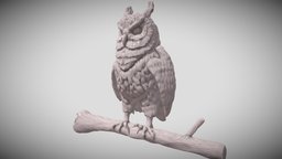 Owl Sculpt owl, sculpt, animal