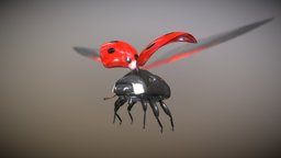 Ladybug insect, bug, enemy, gamejam, gameasset, animal