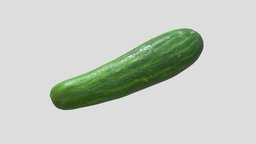 Cucumber Low Poly PBR Realistic food, fruit, ready, vr, ar, supermarket, kitchen, cucumber, diet, lettuce, onion, vegetable, salad, pepino, asset, game, low, poly, sport, salads, healthiness, healtness