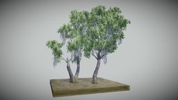 Swamp Ash Tree tree, plant, foliage, nature, swamp, biome, prob, environment-assets, swampland, asset, game, environment