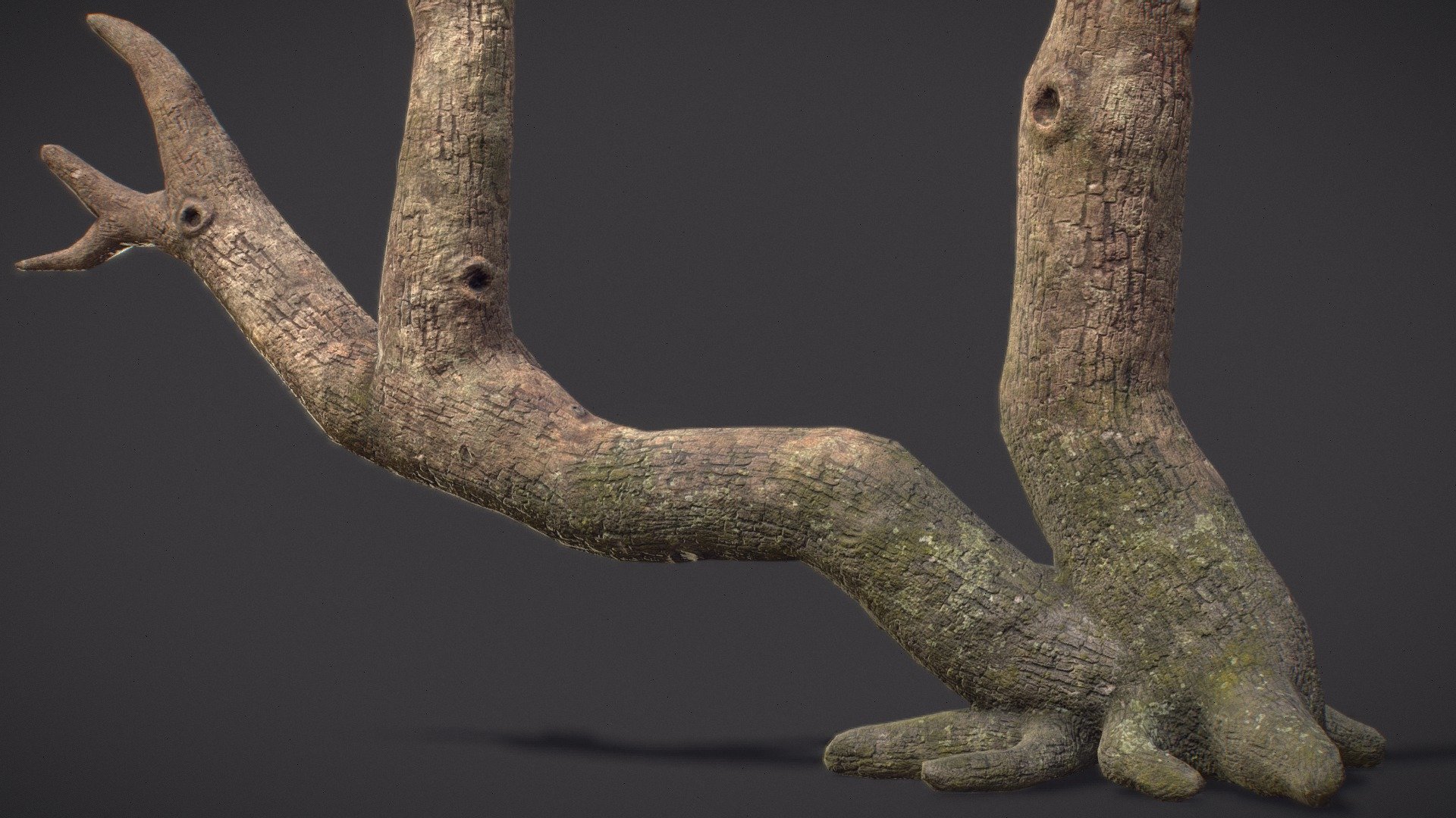 Small dead tree game asset I created to practice creating trees in ZBrush, Retopology using quad draw, Uvs in Maya and Marmoset/Substance 3D Painter baking and texturing, I'm planning to do more foliage and trees in my next personal projects.
Poly count is 4646 Triangles and texture are in 4096x4096.
https://www.artstation.com/artwork/Qn5REE - Small Dead Tree - Buy Royalty Free 3D model by tareklatif 3d model