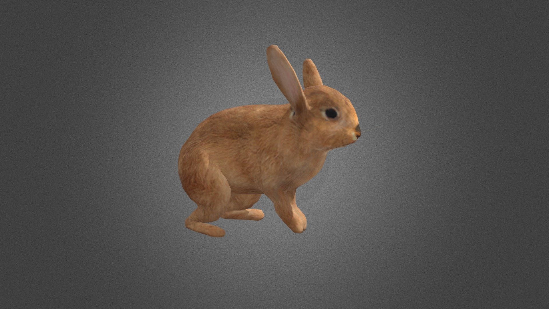 Rabbit Rigged - Download Free 3D model by FourthGreen 3d model