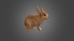Rabbit Rigged rabbit, bunny, rabbits, lowpoly
