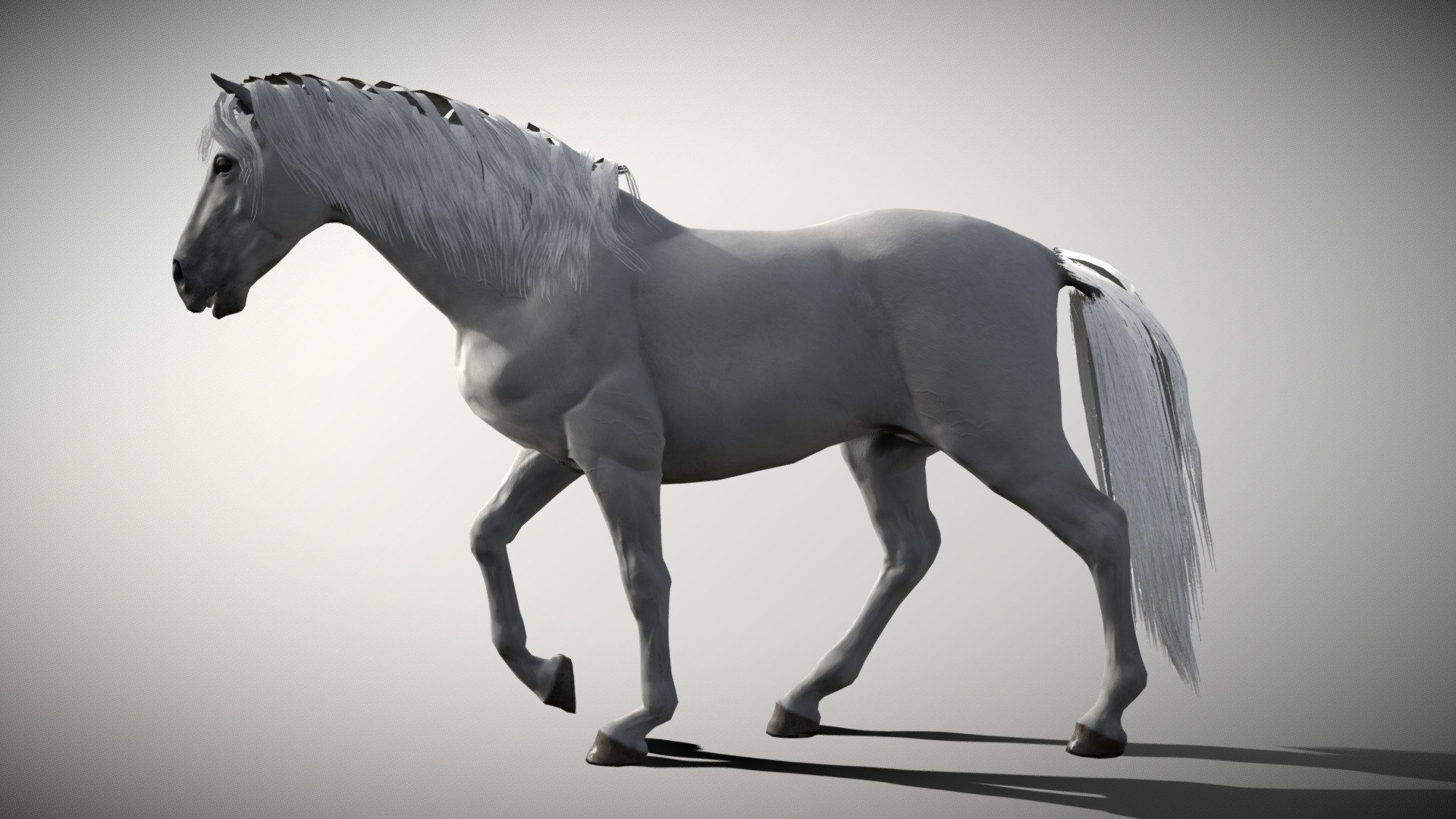 Horse, created in Blender, Zbrush Core and Substance Painter original blender file in the Zip folder uploaded!

Textures 4096x4096:* - body: albedo, roughness, Ambient occlusion, normal, - eyes and teeth: albedo, roughness, Ambient occlusion, normal, opacity - mane and tail: color node, normal and opacity

In https://sketchfab.com/models/e768beead22a4e02a10df627b5057c3f/editthe NLA editor there are 3 option: - walk cycle - run cycle - white horse - Buy Royalty Free 3D model by 3dartstevenz 3d model