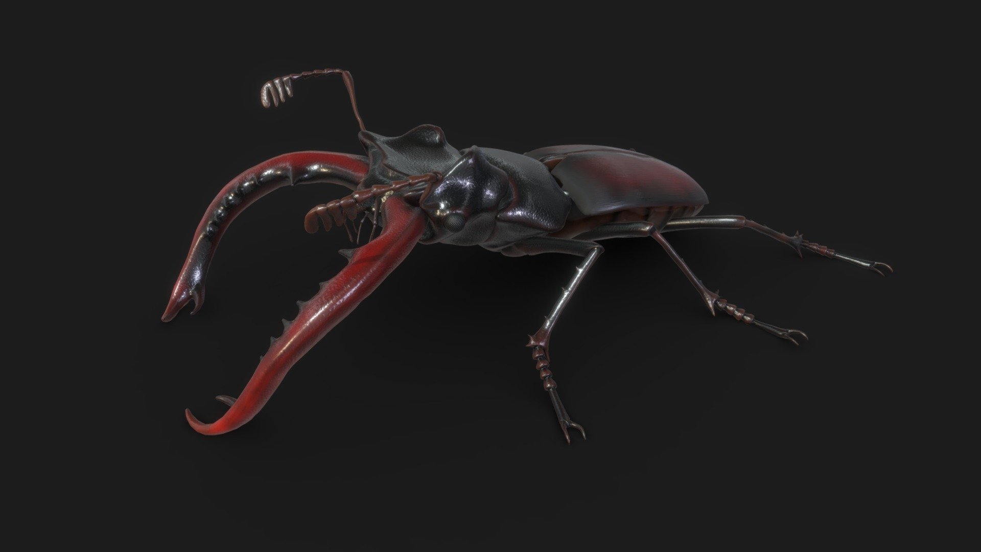 Welcome to my SKFB if you want to see more please visit the link in my bio

I think I got rigged version somewhere in backups - Jelonek Rogacz - Stag beetle - Lucanus cervus - 3D model by mahrcheen 3d model
