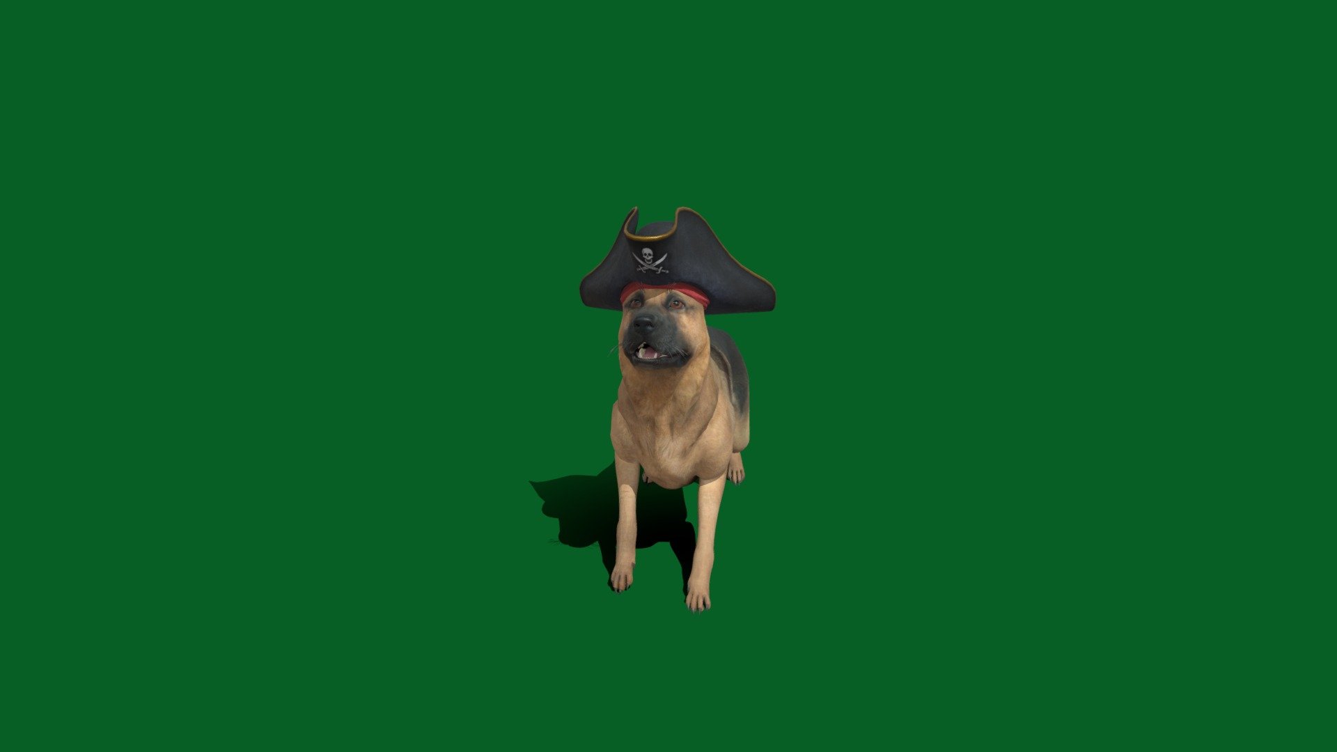 Non-commercialgoogle holloween theme dog 🐶 shepherd 
The &ldquo;Halloween Theme