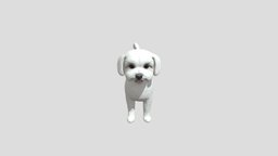 Maltese dog, zoo, realistic, maltese, animal, animated