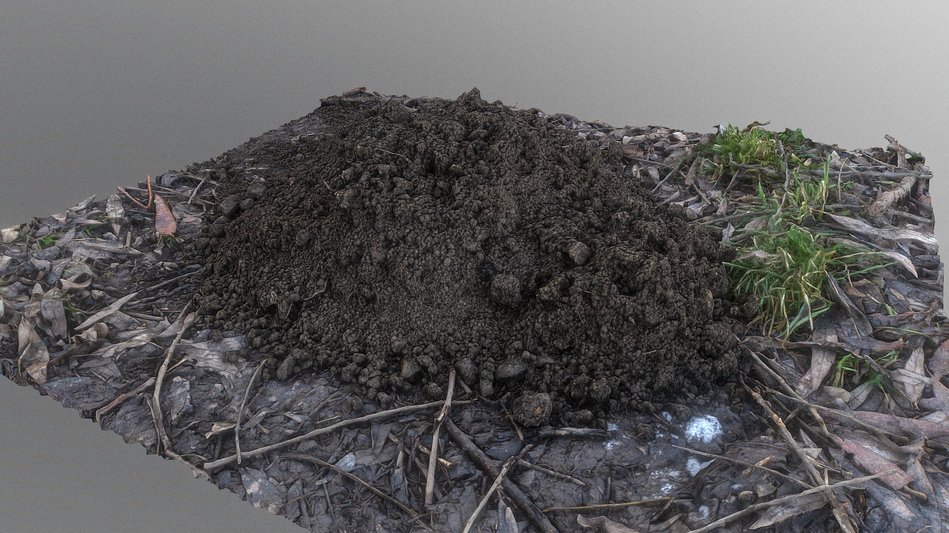 Molehill in winter grass ground with small branches and bits of snow

photogrammetry scan (50x24MP) - Molehill - Buy Royalty Free 3D model by matousekfoto 3d model