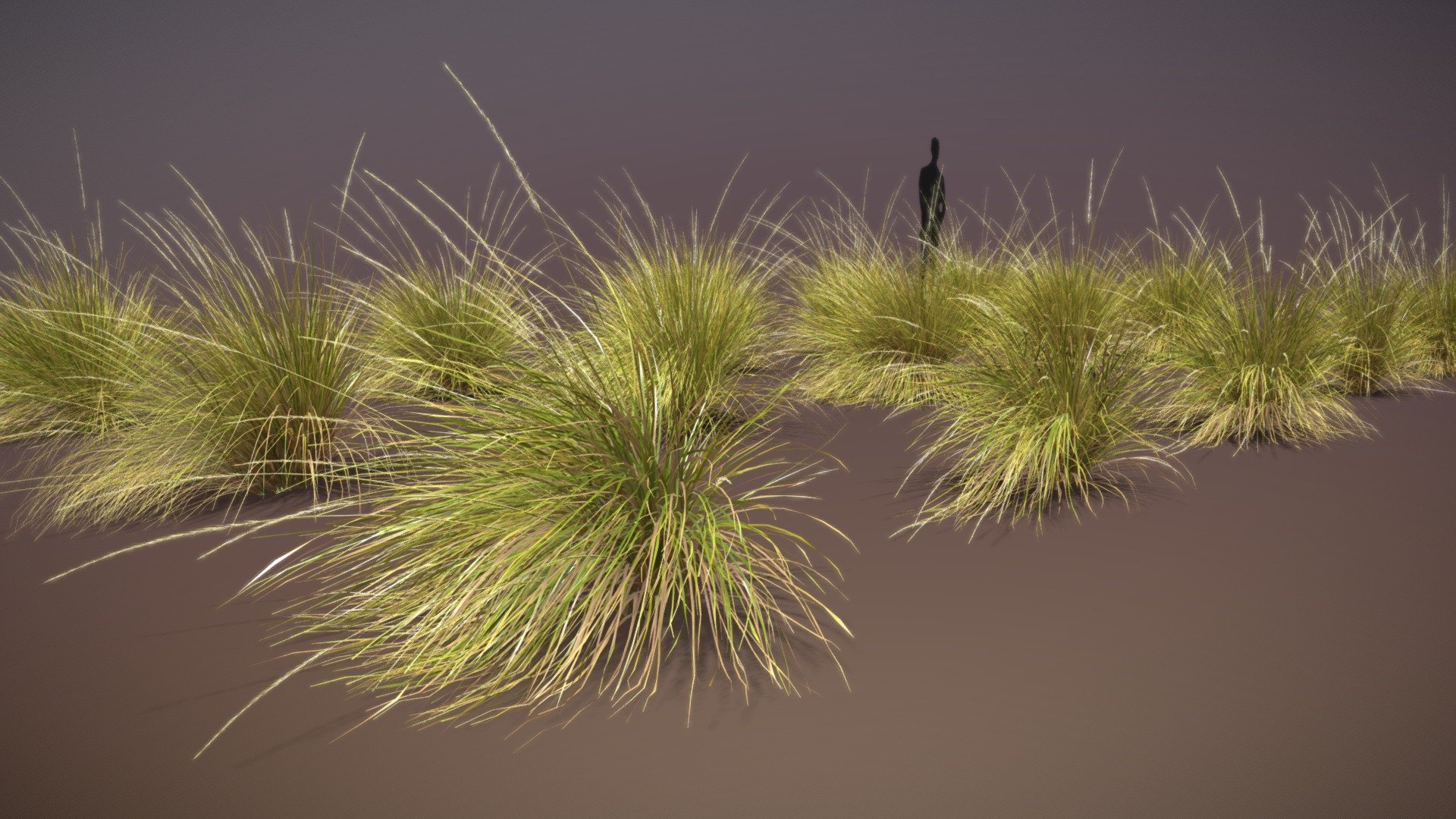 A set of 15 plants for exterior archviz, for someone, who needs highly detailed models, with geometry based on mesh instead of alpha maps.

Model created in Blender 3.0, with basic tools so it woorks with previous versions. Checked with latest stabile wersion of 2.83.


based on Festuca Mairei in autumn vegetation state

UV-unwrapped

mesh based on quads

custom, baked textures

File organized for use with particle system and for linking objects - it contains colection with all 15 pieces, and individual collection for every plant (for linking)

additional formats: fbx, obj, dae

native Blender file, and textures in other formats folder
 - Festuca Mairei ornamental grass (15 plants) - Buy Royalty Free 3D model by marcin_malcherek 3d model