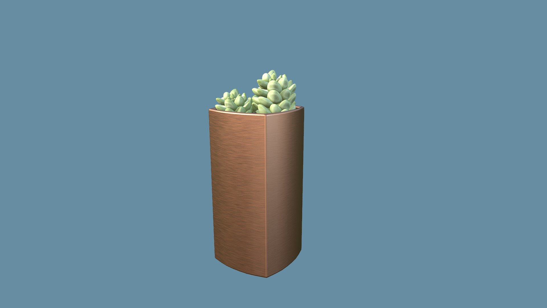 This is a realistic looking 3d model of a sedum morganianum cactus

You get PBR flattened textures for metalness workflow

4k textures png: basecolor, roughness, metallic, normal (direktX)

UV Layout (0-1 space, non-overlapping) quads only, poles have max 5 edges

scale unite = cm - Sedum Morganianum Cactus - Buy Royalty Free 3D model by marlis 3d model