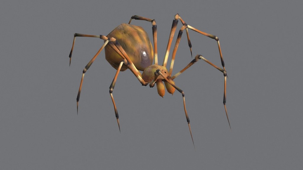 3d model of the spider animated,
textures 512x512 - Spider - 3D model by Rudenko_Nikita 3d model