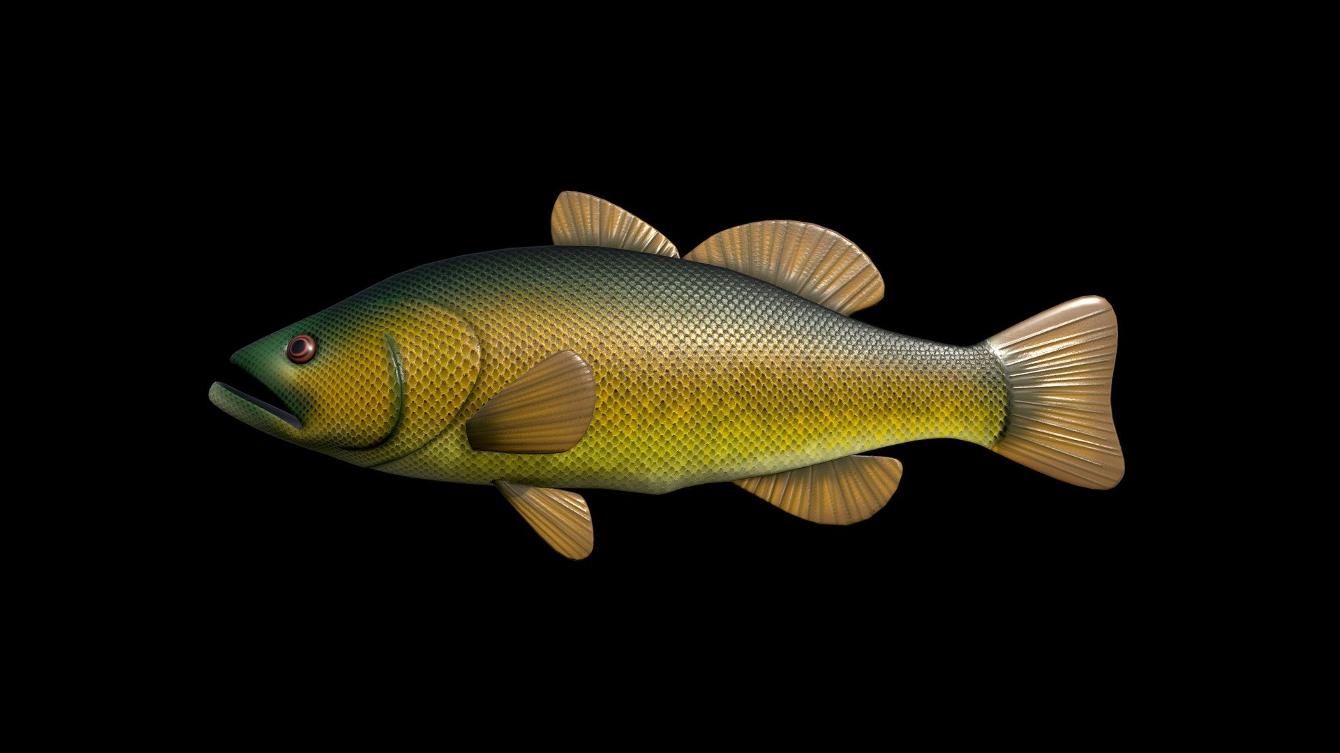 Mid poly 3D fish.

This model is part of a FISH PACK - Green fish - Download Free 3D model by assetfactory 3d model