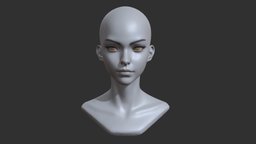 Stylized Anime Female Head face, anatomy, head, female, stylized, practice