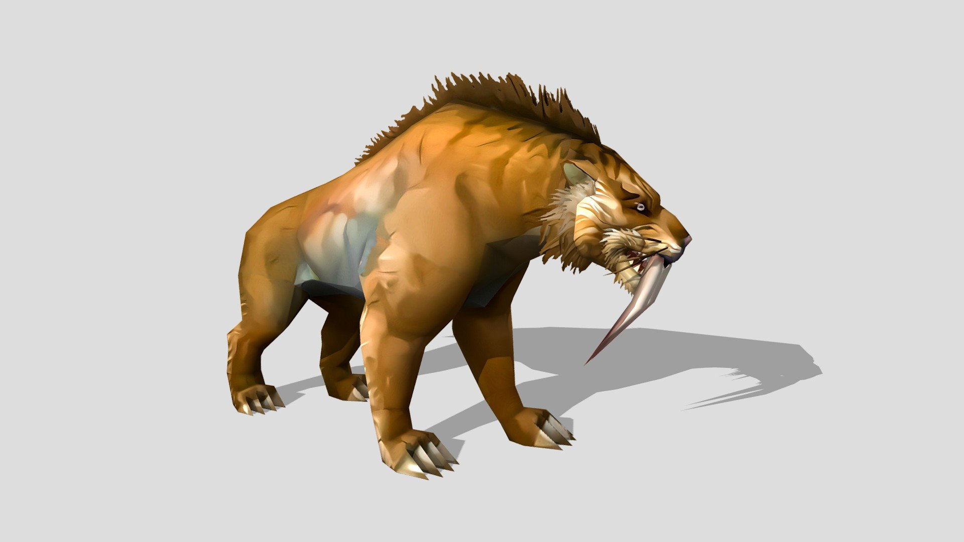 Sabretooth Tiger.
9 smooth animations.
low polygon, ready for game.
1024x1024 diffuse texture 3d model