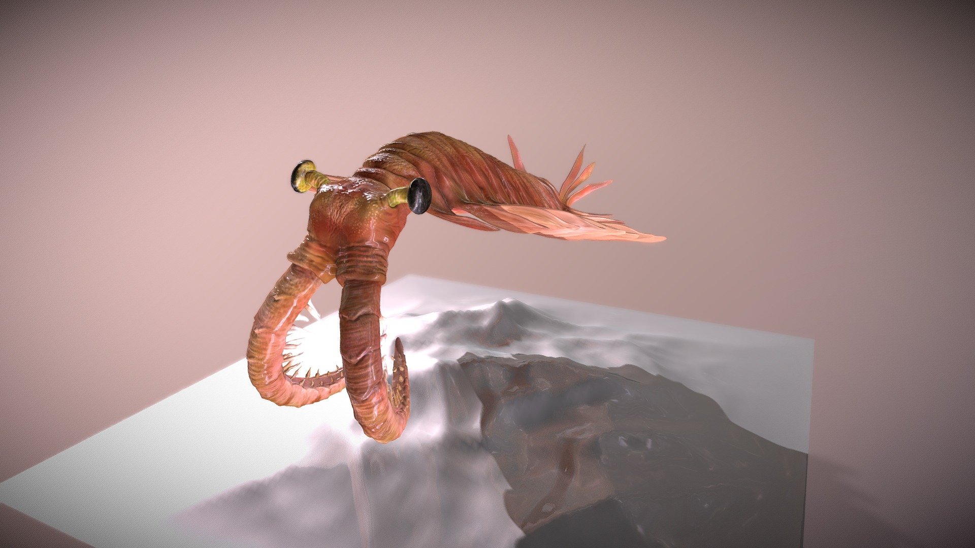 Anomolocaris swimming test - Animated anomolocaris - 3D model by Q.art 3d model