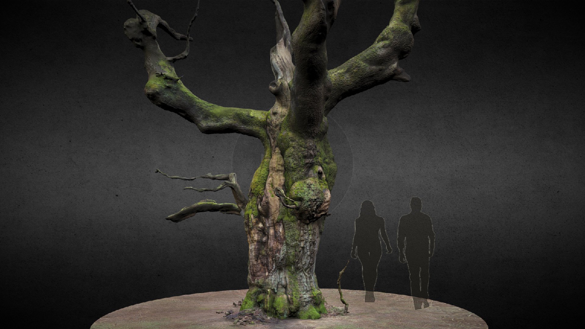 One of the oak trees from savernake forest.

wikipedia


https://history.wiltshire.gov.uk/gallery/map/savernake_map004.jpg

silhouettes: http://www.freepik.com - Oak Tree - Savernake forest - Download Free 3D model by Mario_Wallner 3d model
