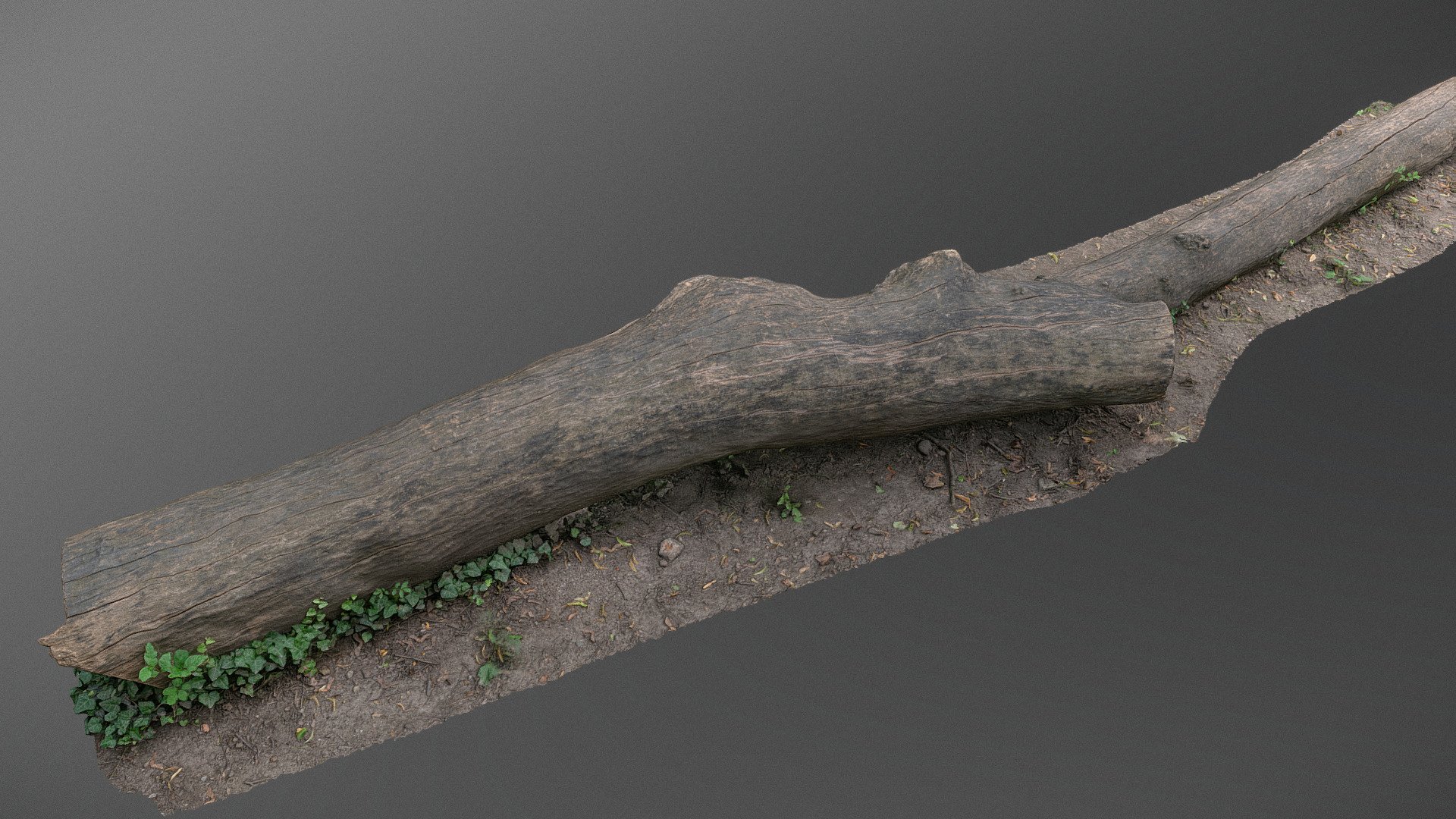 Thick Ash tree trunk lumber wood log cut fallen down on ground in city park, serving as a bench, timber material isolated with some ivy growing over

photogrammetry scan (240x24MP), 3x16K textures + Normals from 3M tris - Ivy trunk - Download Free 3D model by matousekfoto 3d model