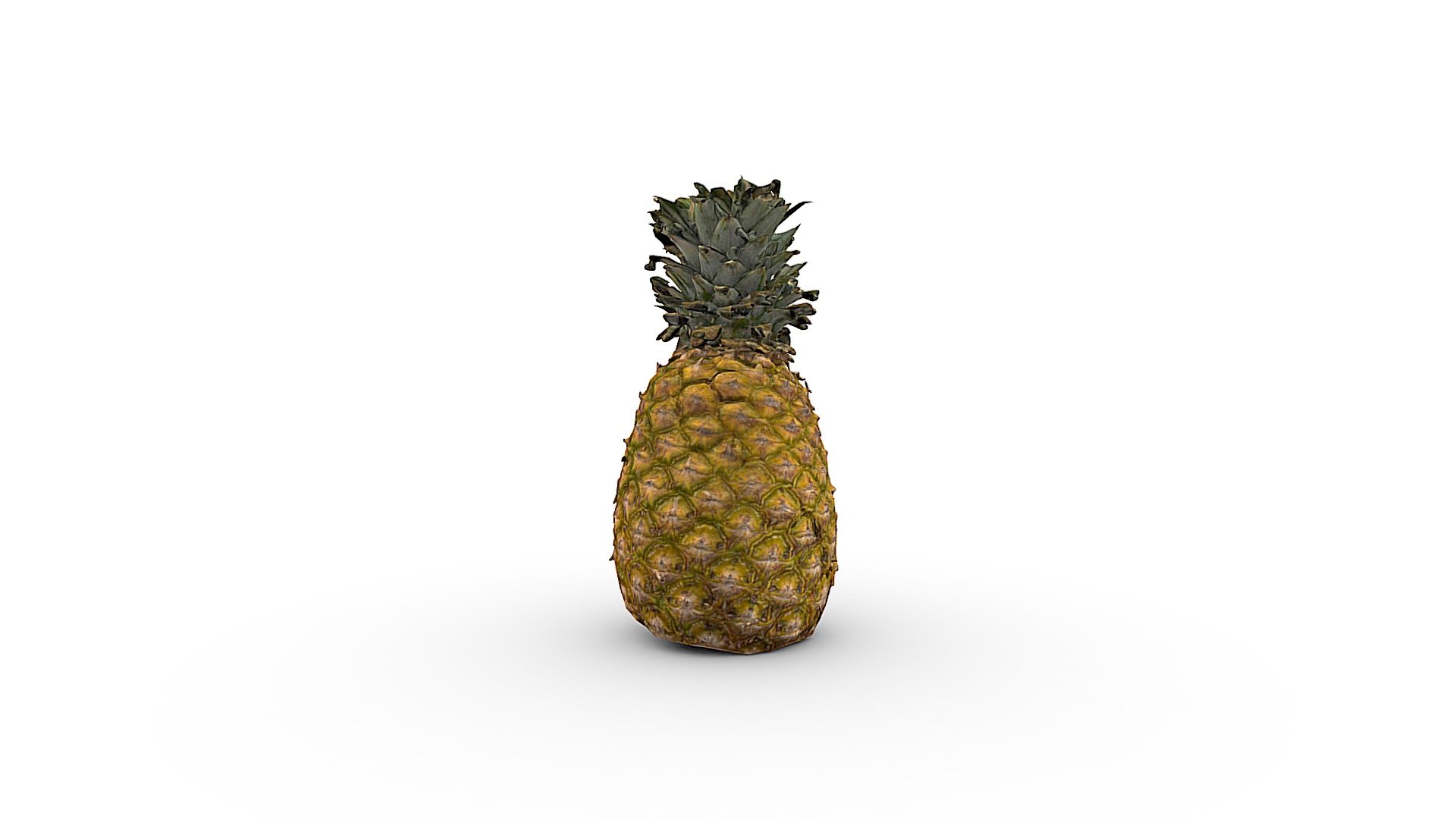 3D Scan of a Pinapple for the #1ScanADay challenge - Pineapple - Buy Royalty Free 3D model by chrisprice 3d model