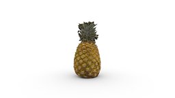 Pineapple plant, fruit, tropical, palm, pineapple, island, grocery, groceries, tropical-tree, tropical-plants, 1scanaday