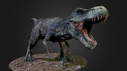 Tyrannosaurus Rex trex, tyrannosaur, teeth, rex, reptile, tyranosaurus, jurrassicpark, jurrassic, dinosaur