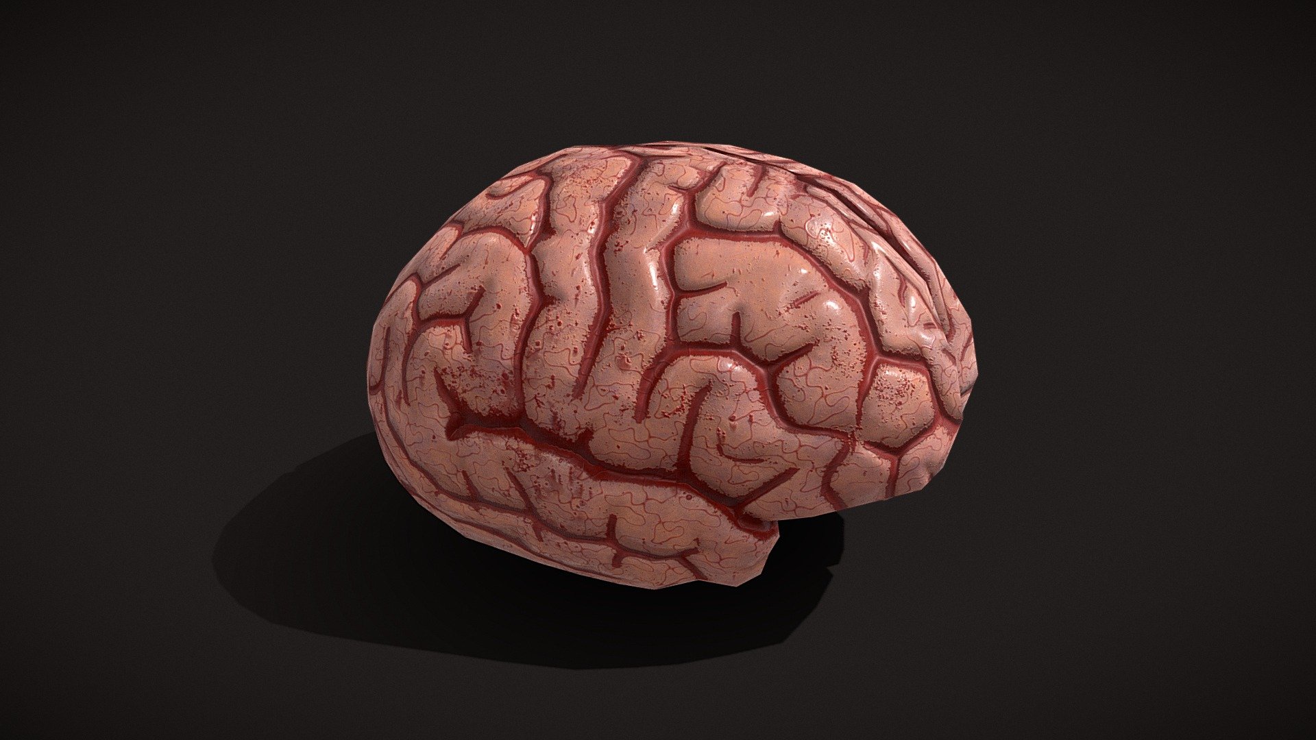 Human Brain 3D Model - Human_Brain_FBX - Buy Royalty Free 3D model by GetDeadEntertainment 3d model